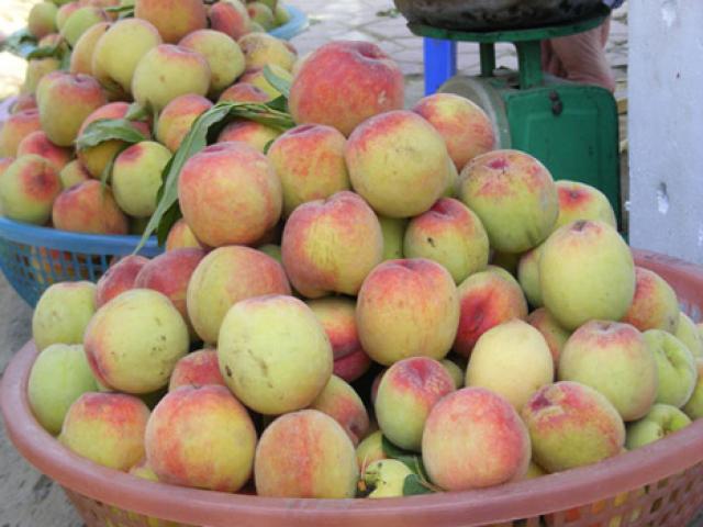 Ăn đào ở một gánh hàng rong, người phụ nữ nguy kịch vì sốc, suy thận