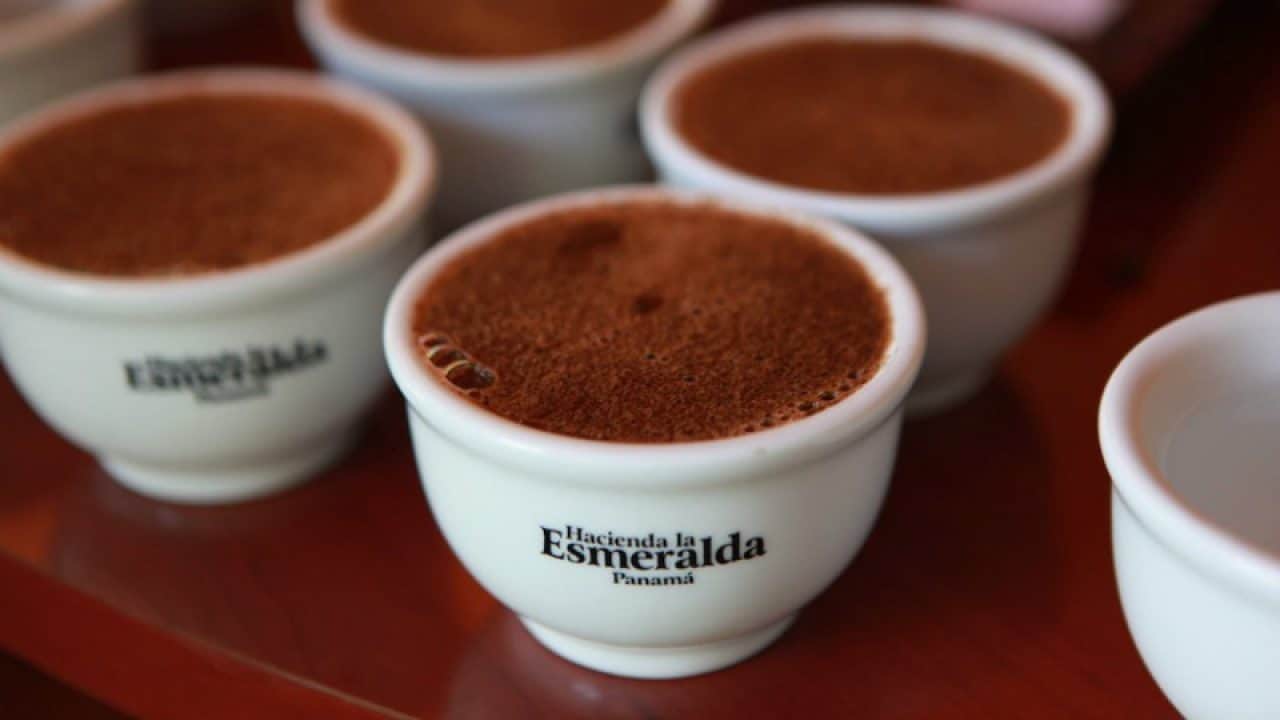 Các loại cà phê đắt nhất - Hacienda La Esmeralda
