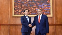 Bộ trưởng Ngoại giao Bùi Thanh Sơn đồng chủ trì Kỳ họp lần thứ 2 Ủy ban hỗn hợp Việt Nam-Brunei về hợp tác song phương